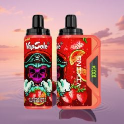 VapSolo VIKING 12000 Puffs Strawberry Watermelon Type-C 22ml
